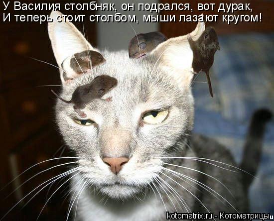 У Василия столбняк, он подрался, вот дурак, И теперь стоит столбом, мыши лазают кругом!... Котоматрица: У Василия столбняк, он подрался, вот дурак, И теперь стоит столбом, мыши лазают кругом!