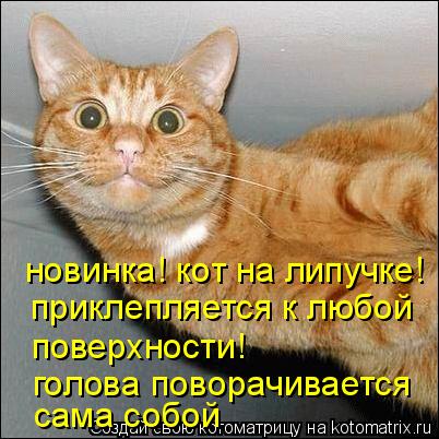 приклепляется к любой поверхности! голова поворачивается сама собой новинка! кот на липучке!... Котоматрица: приклепляется к любой поверхности! голова поворачивается сама собой новинка! кот на липучке!