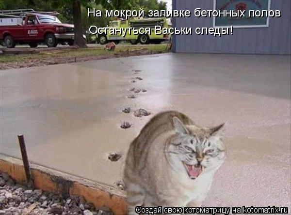 На мокрой заливке бетонных полов Остануться Васьки следы!... Котоматрица: На мокрой заливке бетонных полов Остануться Васьки следы!