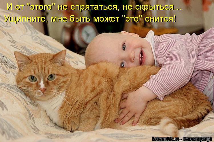 И от "этого" не спрятаться, не скрыться... Ущипните, мне быть может "это" снится!... Котоматрица: И от "этого" не спрятаться, не скрыться... Ущипните, мне быть может "это" снится!