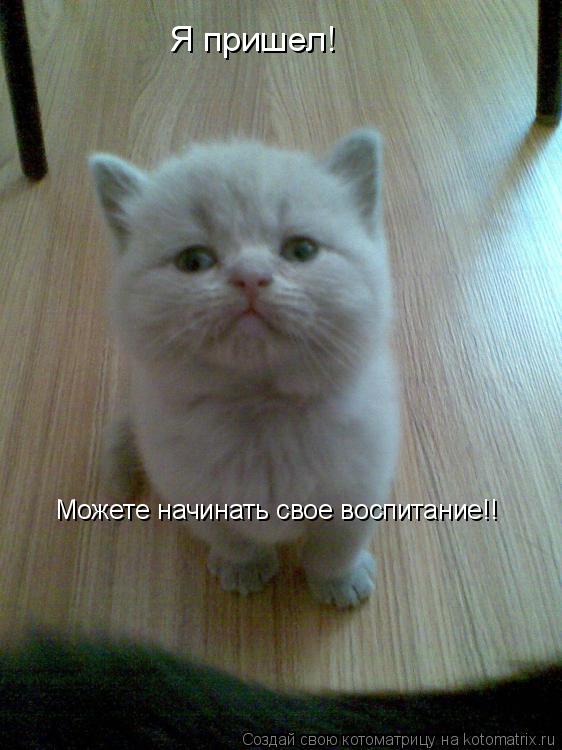 Я пришел! Можете начинать свое воспитание!!... Котоматрица: Я пришел! Можете начинать свое воспитание!!