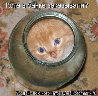 Кота в банке заказывали?... Котоматрица: Кота в банке заказывали?