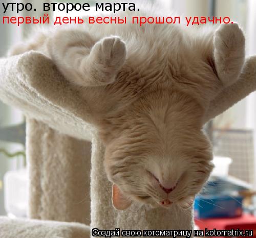 утро. второе марта. первый день весны прошол удачно.... Котоматрица: утро. второе марта. первый день весны прошол удачно.
