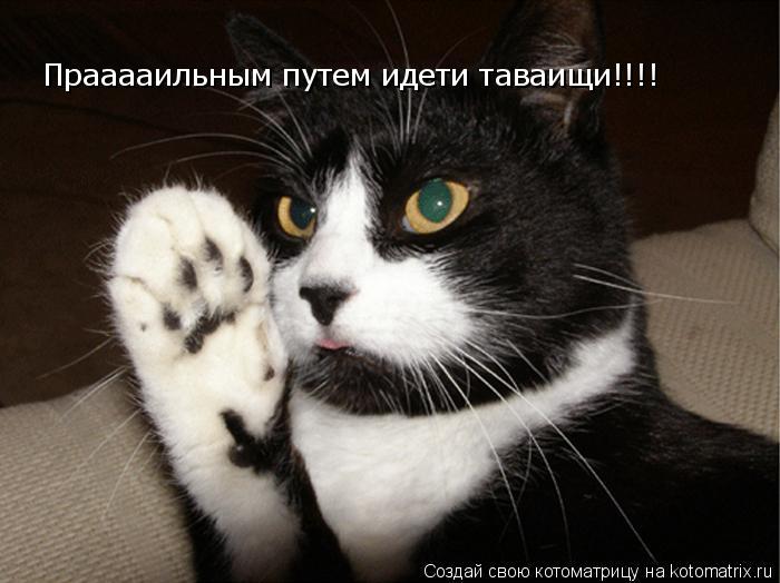 Прааааильным путем идети таваищи!!!!... Котоматрица: Прааааильным путем идети таваищи!!!!