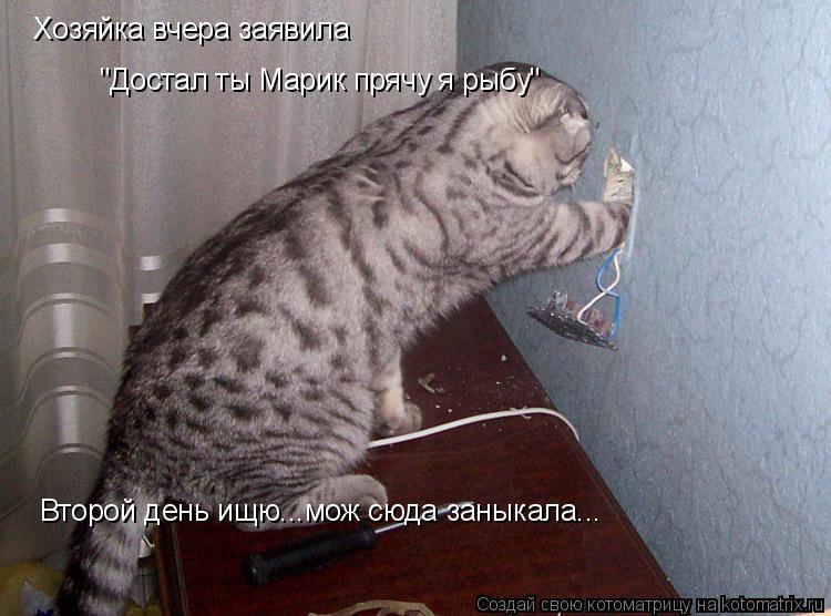 Котоматрица: Хозяйка вчера заявила "Достал ты Марик прячу я рыбу" Второй день ищю...мож сюда заныкала...