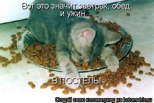 Вот это значит завтрак, обед и ужин В ПОСТЕЛЬ!... Котоматрица: Вот это значит завтрак, обед и ужин В ПОСТЕЛЬ!