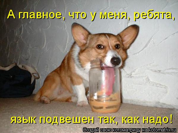А главное, что у меня, ребята, язык подвешен так, как надо!... Котоматрица: А главное, что у меня, ребята, язык подвешен так, как надо!