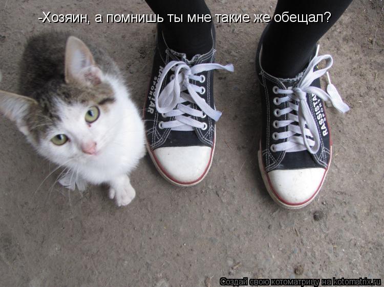 -Хозяин, а помнишь ты мне такие же обещал?... Котоматрица: -Хозяин, а помнишь ты мне такие же обещал?