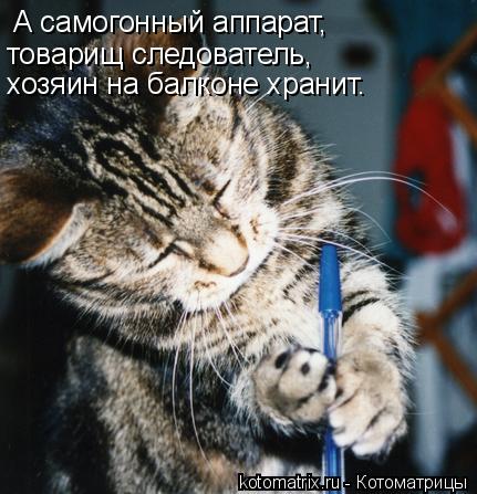 А самогонный аппарат, товарищ следователь, хозяин на балконе хранит.... Котоматрица: А самогонный аппарат, товарищ следователь, хозяин на балконе хранит.