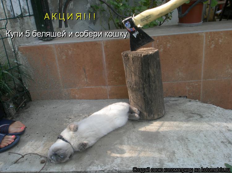 Купи 5 беляшей и собери кошку. Купи 5 беляшей и собери кошку. А К Ц И Я ! ! !... Котоматрица: Купи 5 беляшей и собери кошку. Купи 5 беляшей и собери кошку. А К Ц И Я ! ! !