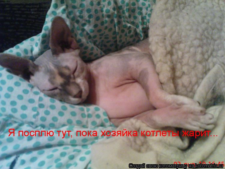 Я посплю тут, пока хозяйка котлеты жарит...... Котоматрица: Я посплю тут, пока хозяйка котлеты жарит...