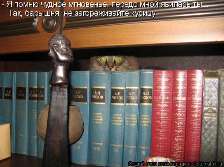 - Я помню чудное мгновенье, передо мной явилась ты... Так, барышня, не загораживайте курицу... Котоматрица: - Я помню чудное мгновенье, передо мной явилась ты... Так, барышня, не загораживайте курицу