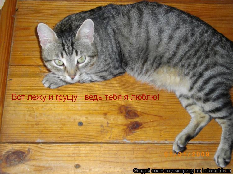 Вот лежу и грущу - ведь тебя я люблю!... Котоматрица: Вот лежу и грущу - ведь тебя я люблю!