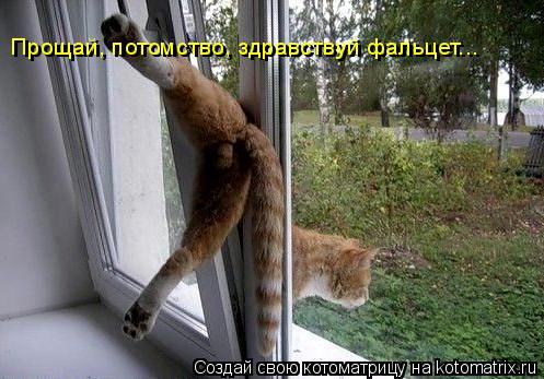 Прощай, потомство, здравствуй фальцет... Прощай, потомство, здравствуй фальцет...... Котоматрица: Прощай, потомство, здравствуй фальцет... Прощай, потомство, здравствуй фальцет...