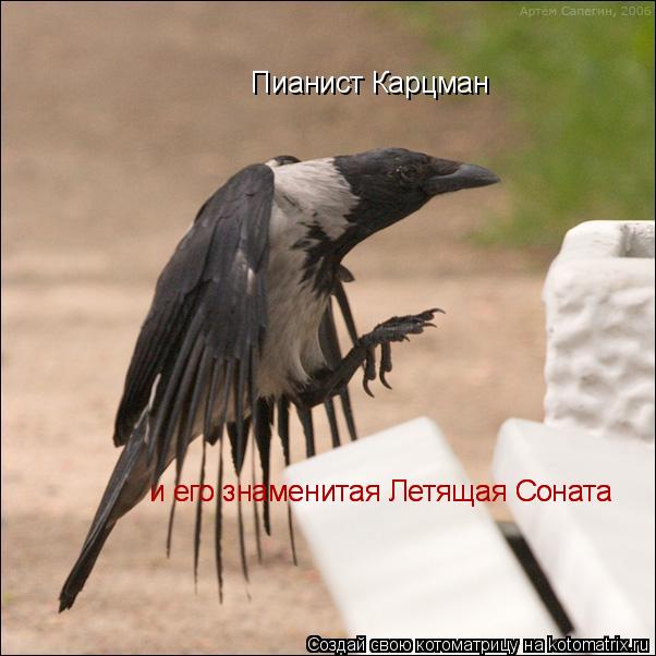 Пианист Карцман и его знаменитая Летящая Соната и его знаменитая Летящая Соната... Котоматрица: Пианист Карцман и его знаменитая Летящая Соната и его знаменитая Летящая Соната