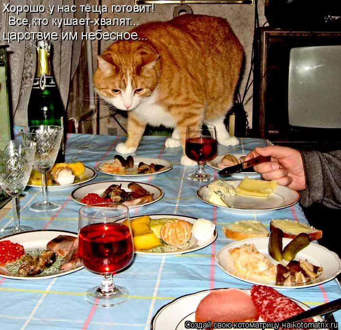 царствие им небесное... Хорошо у нас тёща готовит! Все,кто кушает-хвалят...... Котоматрица: царствие им небесное... Хорошо у нас тёща готовит! Все,кто кушает-хвалят...