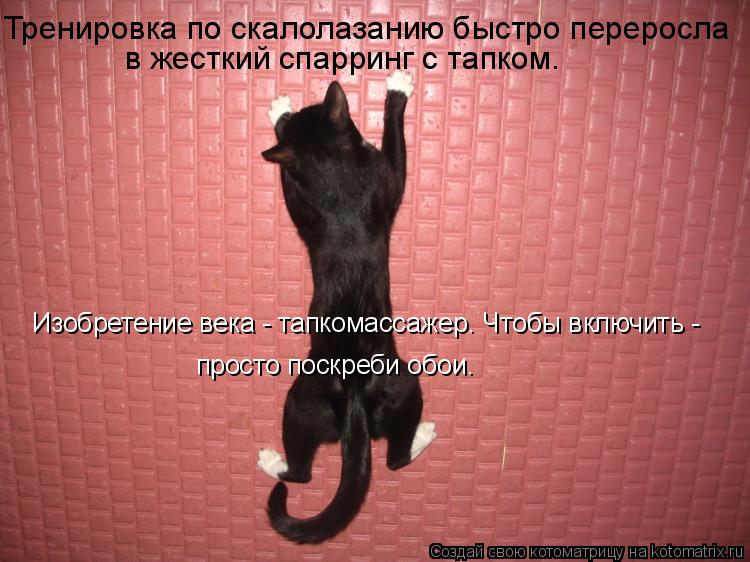Тренировка по скалолазанию быстро переросла в жесткий спарринг с тапком. Изобретение века - тапкомасс... Котоматрица: Тренировка по скалолазанию быстро переросла в жесткий спарринг с тапком. Изобретение века - тапкомассажер. Чтобы включить - просто поскреб