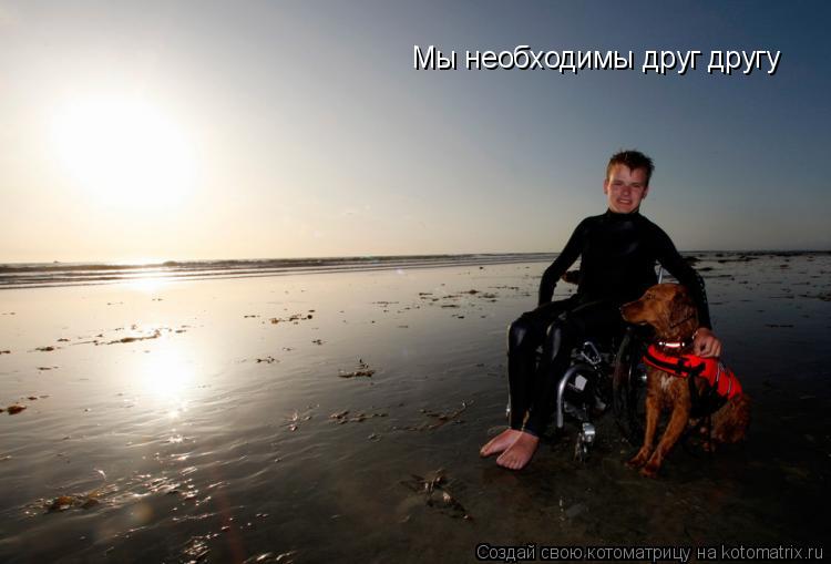 Мы необходимы друг другу... Котоматрица: Мы необходимы друг другу