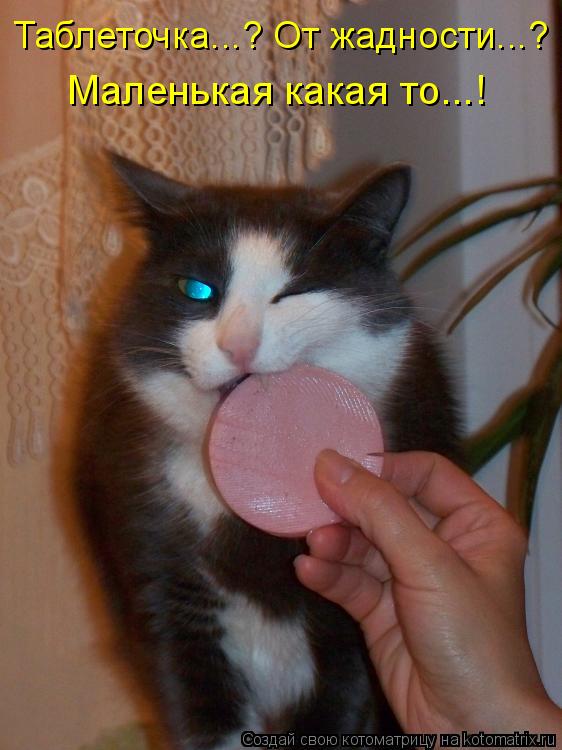 Таблеточка...? От жадности...? Маленькая какая то...!... Котоматрица: Таблеточка...? От жадности...? Маленькая какая то...!