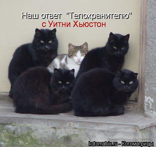 Наш ответ "Телохранителю" Наш ответ "Телохранителю" с Уитни Хьюстон с Уитни Хьюстон... Котоматрица: Наш ответ "Телохранителю" Наш ответ "Телохранителю" с Уитни Хьюстон с Уитни Хьюстон