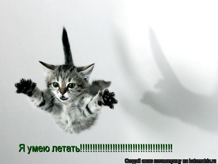 Я умею летать!!!!!!!!!!!!!!!!!!!!!!!!!!!!!!!!!!!!!... Котоматрица: Я умею летать!!!!!!!!!!!!!!!!!!!!!!!!!!!!!!!!!!!!!