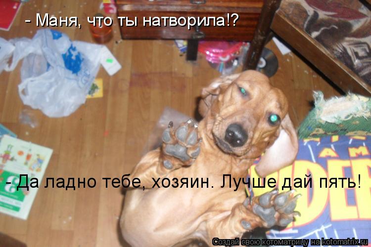 - Маня, что ты натворила!? - Да ладно тебе, хозяин. Лучше дай пять!... Котоматрица: - Маня, что ты натворила!? - Да ладно тебе, хозяин. Лучше дай пять!
