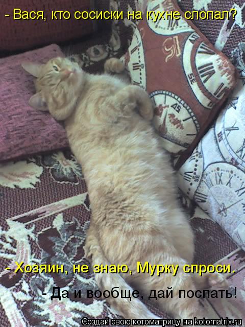 - Вася, кто сосиски на кухне слопал? - Хозяин, не знаю, Мурку спроси. - Да и вообще, дай поспать!... Котоматрица: - Вася, кто сосиски на кухне слопал? - Хозяин, не знаю, Мурку спроси. - Да и вообще, дай поспать!