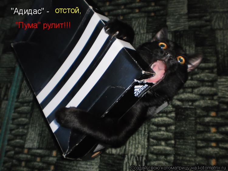 "Адидас" - отстой, "Пума" рулит!!!... Котоматрица: "Адидас" - отстой, "Пума" рулит!!!