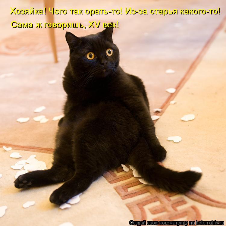 Хозяйка! Чего так орать-то! Из-за старья какого-то! Сама ж говоришь, XV век!... Котоматрица: Хозяйка! Чего так орать-то! Из-за старья какого-то! Сама ж говоришь, XV век!