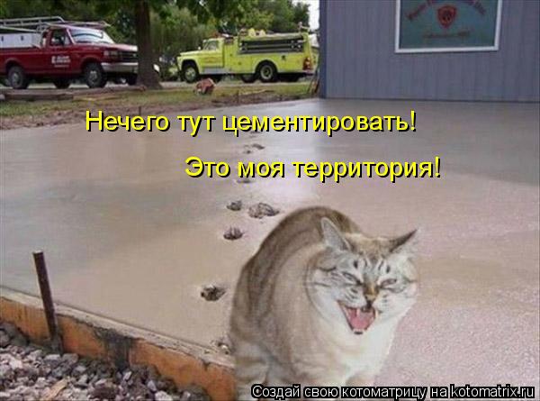 Нечего тут цементировать! Это моя территория!... Котоматрица: Нечего тут цементировать! Это моя территория!