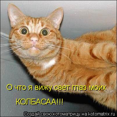 О что я вижу свет глаз моих КОЛБАСАА!!!... Котоматрица: О что я вижу свет глаз моих КОЛБАСАА!!!