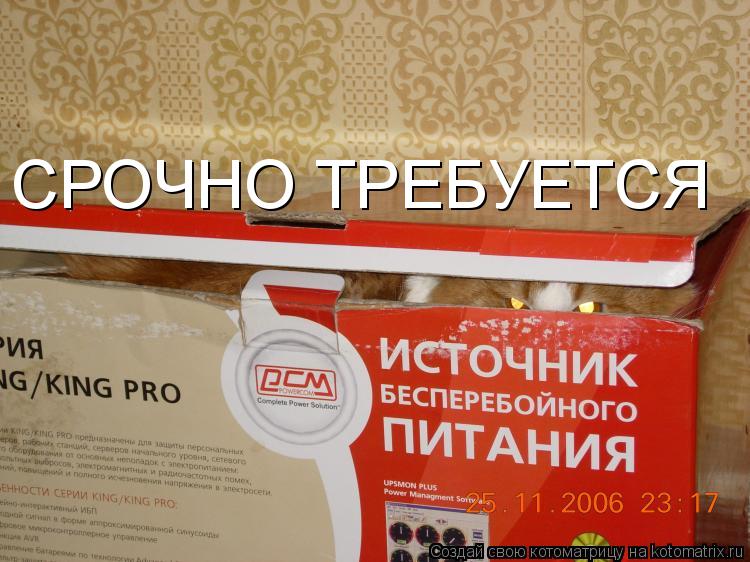 СРОЧНО ТРЕБУЕТСЯ... Котоматрица: СРОЧНО ТРЕБУЕТСЯ