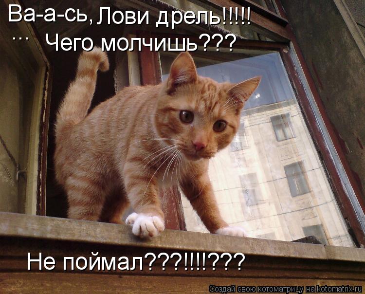 Ва-а-сь, Лови дрель!!!!! ... Чего молчишь??? Не поймал???!!!!???... Котоматрица: Ва-а-сь, Лови дрель!!!!! ... Чего молчишь??? Не поймал???!!!!???