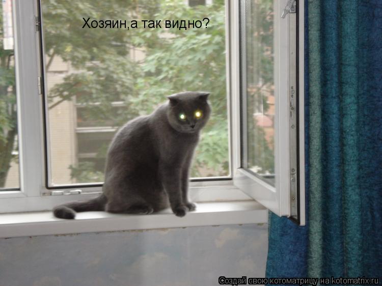 Хозяин,а так видно?... Котоматрица: Хозяин,а так видно?