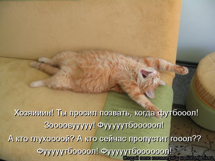 Хозяииин! Ты просил позвать, когда футбооол! Зоооовууууу! Фууууутбооооол! А кто глухоооой? А кто сейч... Котоматрица: Хозяииин! Ты просил позвать, когда футбооол! Зоооовууууу! Фууууутбооооол! А кто глухоооой? А кто сейчас пропустит гооол?? Фууууутбоооол! Фуу