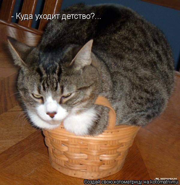 - Куда уходит детство?...... Котоматрица: - Куда уходит детство?...