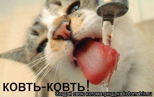 ковть-ковть!... Котоматрица: ковть-ковть!