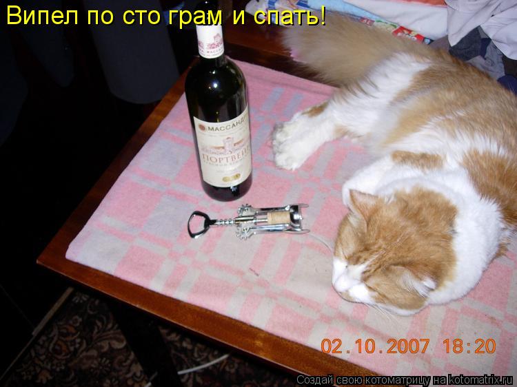 Випел по сто грам и спать!... Котоматрица: Випел по сто грам и спать!