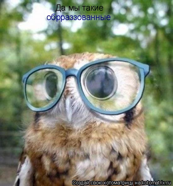 Да мы такие обрраззованные... Котоматрица: Да мы такие обрраззованные