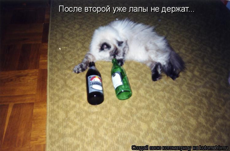После второй уже лапы не держат...... Котоматрица: После второй уже лапы не держат...