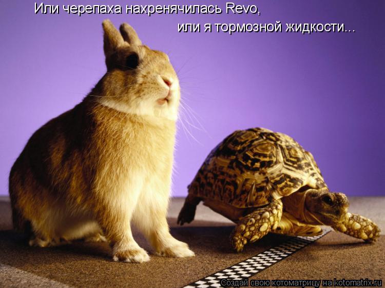 Или черепаха нахренячилась Revo, или я тормозной жидкости...... Котоматрица: Или черепаха нахренячилась Revo, или я тормозной жидкости...