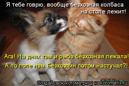 Я тебе говрю, вообще безхозная колбаса на столе лежит! Ага! На днях там и рыба безхозная лежала! А по... Котоматрица: Я тебе говрю, вообще безхозная колбаса на столе лежит! Ага! На днях там и рыба безхозная лежала! А по попе нам Безхозяин потом настучал?!..