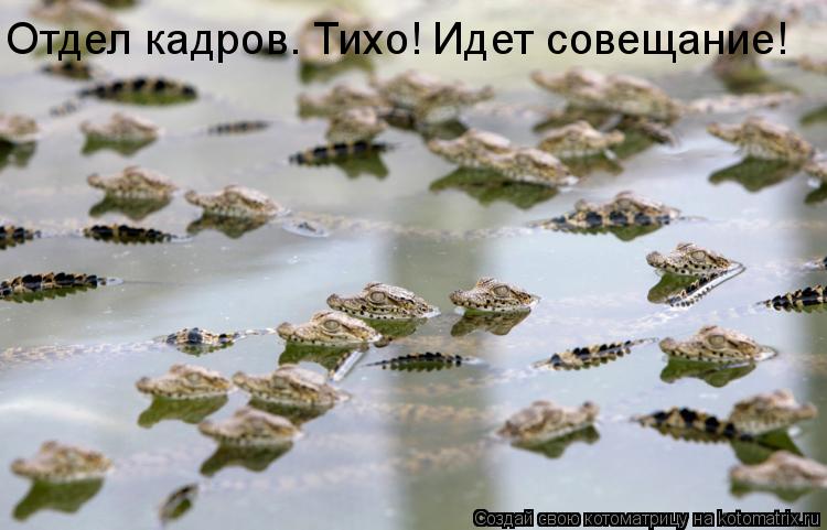 Отдел кадров. Тихо! Идет совещание!... Котоматрица: Отдел кадров. Тихо! Идет совещание!