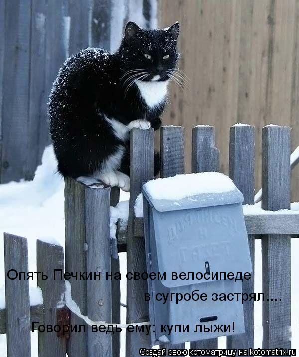 Говорил ведь ему: купи лыжи! Опять Печкин на своем велосипеде в сугробе застрял....... Котоматрица: Говорил ведь ему: купи лыжи! Опять Печкин на своем велосипеде в сугробе застрял....