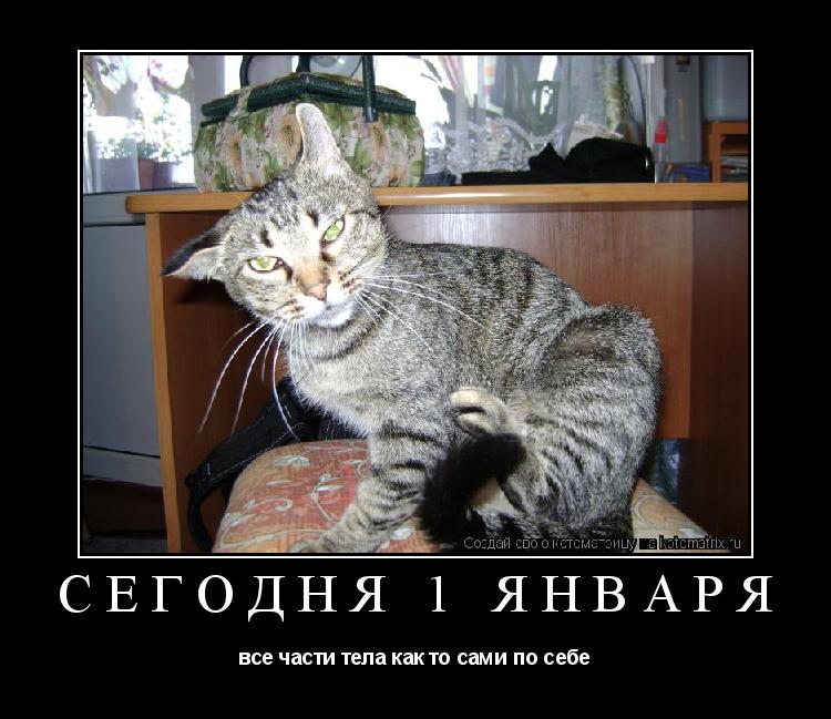 сегодня 1 января все части тела как то сами по себе... Котоматрица: сегодня 1 января все части тела как то сами по себе