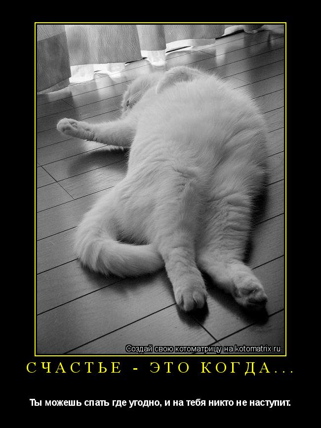 Котоматрица: Счастье - это когда... Ты можешь спать где угодно, и на тебя никто не наступит.