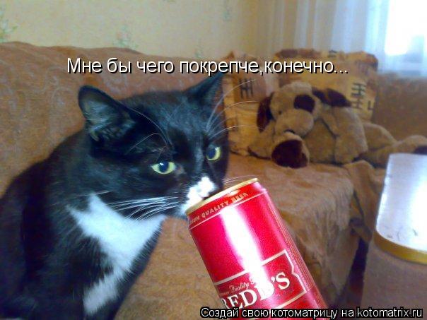 Мне бы чего покрепче,конечно... Мне бы чего покрепче,конечно...... Котоматрица: Мне бы чего покрепче,конечно... Мне бы чего покрепче,конечно...