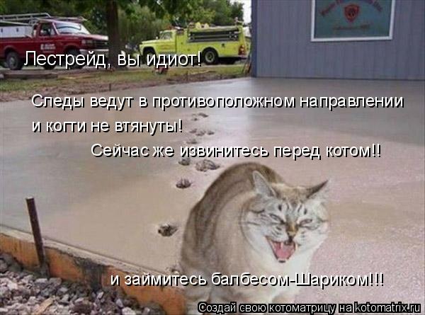 Лестрейд, вы идиот! Следы ведут в противоположном направлении Сейчас же извинитесь перед котом!! и ко... Котоматрица: Лестрейд, вы идиот! Следы ведут в противоположном направлении Сейчас же извинитесь перед котом!! и когти не втянуты! и займитесь балбесом-Ша