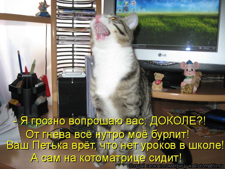 Ваш Петька врёт, что нет уроков в школе! - Я грозно вопрошаю вас: ДОКОЛЕ?! От гнева всё нутро моё бур... Котоматрица: Ваш Петька врёт, что нет уроков в школе! - Я грозно вопрошаю вас: ДОКОЛЕ?! От гнева всё нутро моё бурлит! А сам на котоматрице сидит!