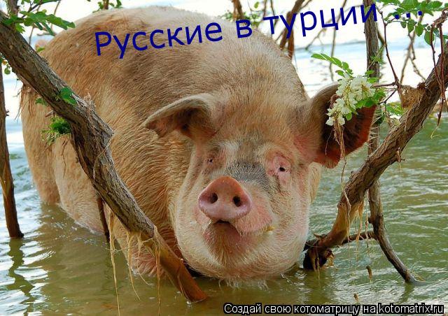 Русские в турции ...... Котоматрица: Русские в турции ...